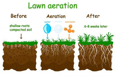 Lawn Tilling