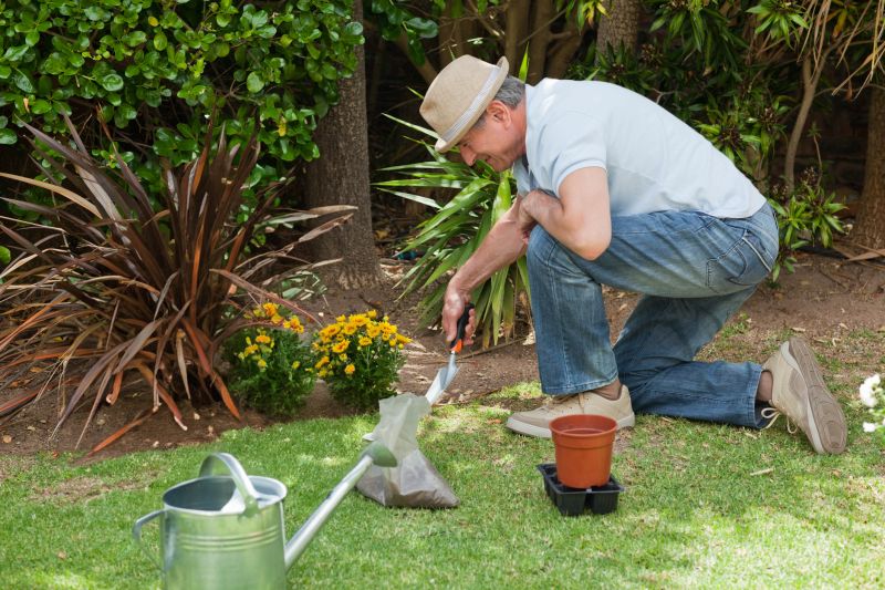 Garden and Planting Designs