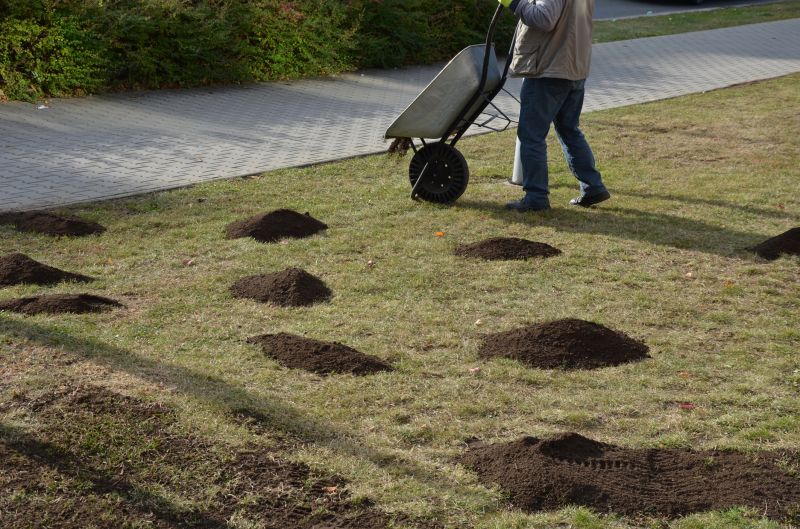 Lawn Tilling