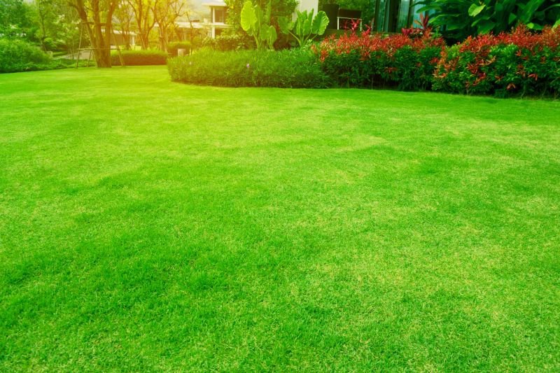 Tilled Lawn in Spring