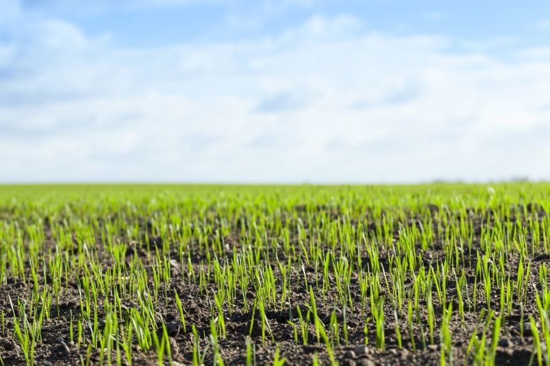 Space-Smart Ideas — For Small Spaces